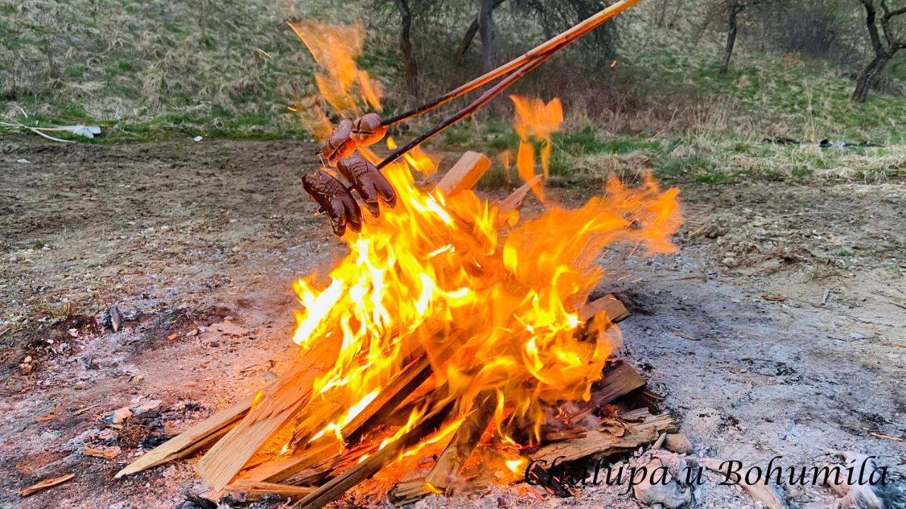 Chalupa U Bohumila Rybna nad Zdobnici Εξωτερικό φωτογραφία