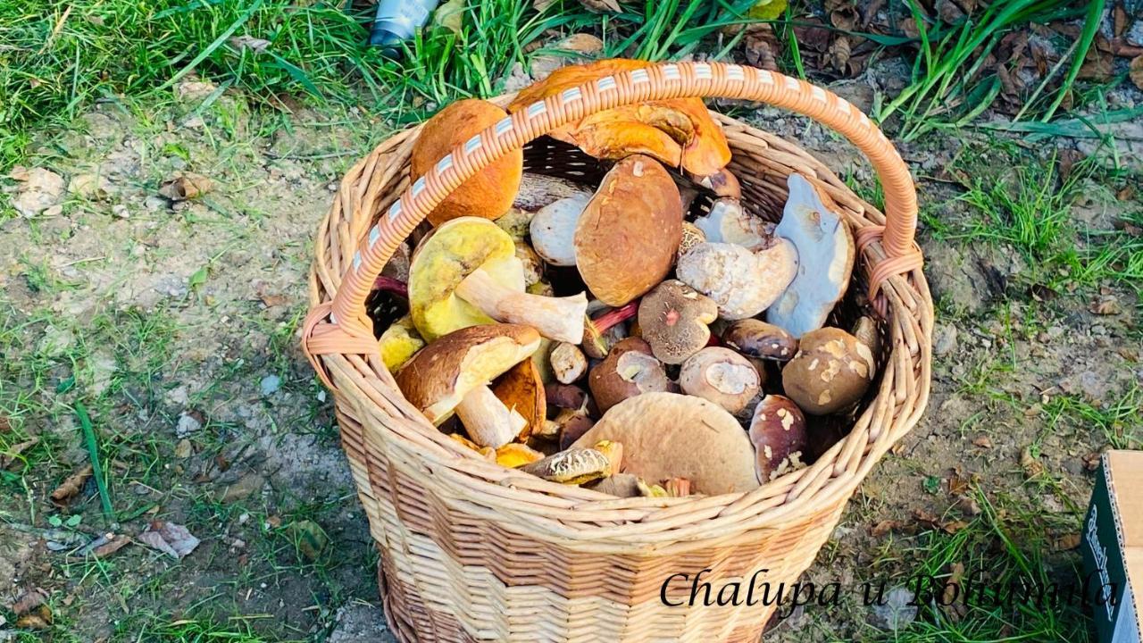 Chalupa U Bohumila Rybna nad Zdobnici Εξωτερικό φωτογραφία